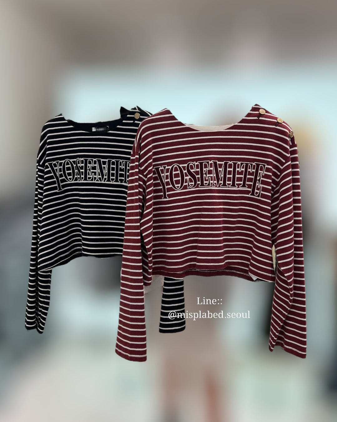 Yosemite stripe crop top