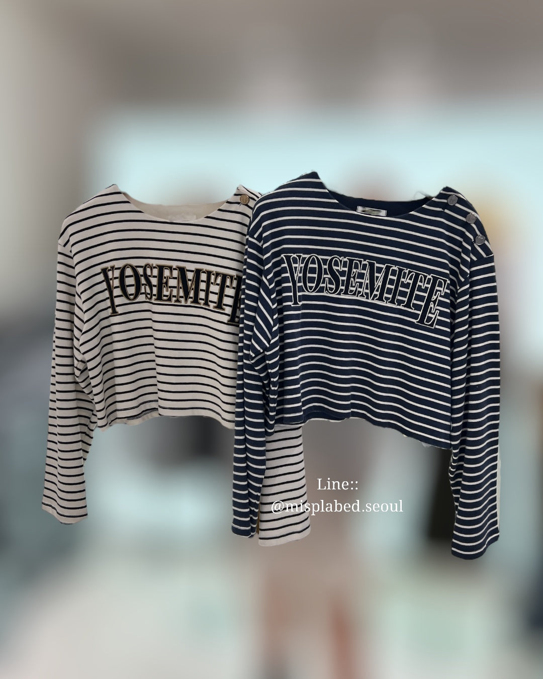 Yosemite stripe crop top