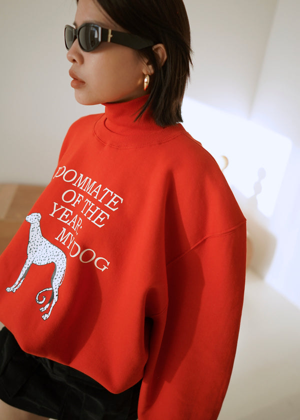 MY roommate puff sleeve turtleneck sweater