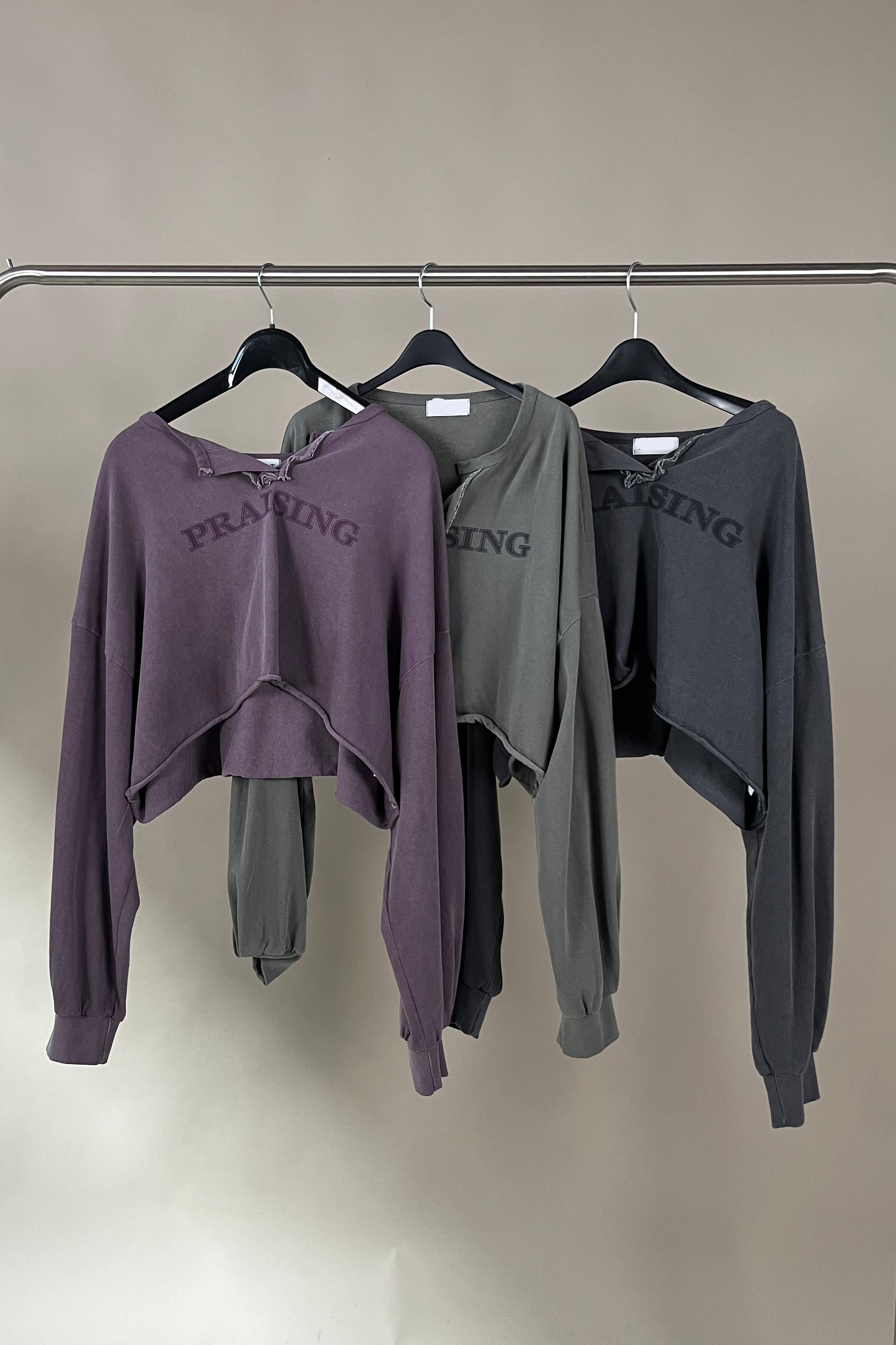 Praising vintage crop top